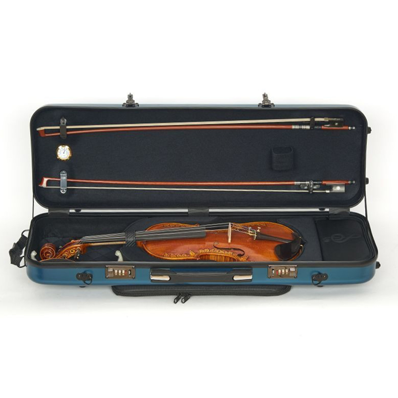 4/4 PC Violin Case Professiona - đánh giá và giá Musical Instrument Veena