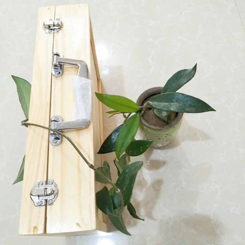 8 Tone Sound Brick with Wooden - đánh giá và giá Celesta Musical Instrument